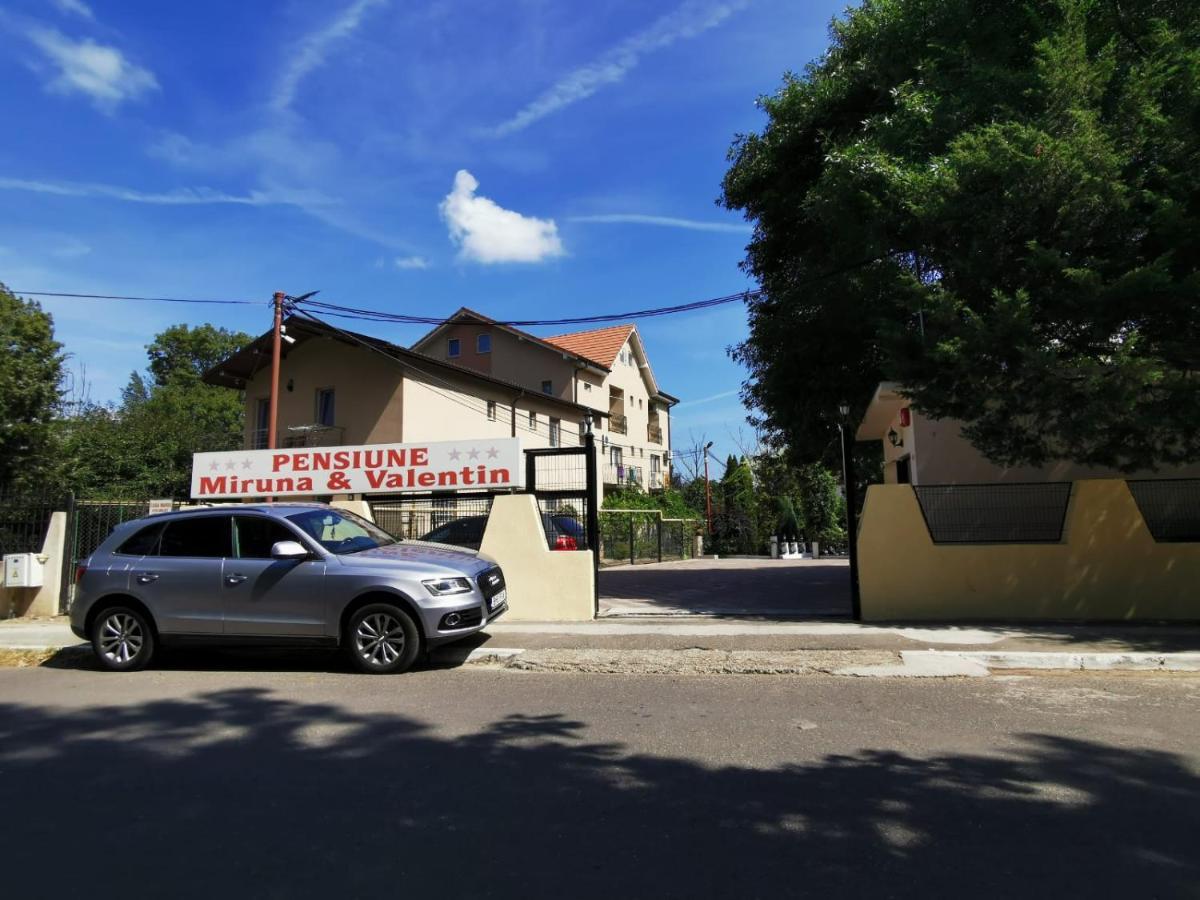 Pensiunea Miruna Valentin Jupiter Exteriér fotografie